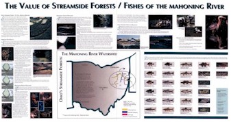 Native Fish and Riparian Zone Interpretive and Educational Sign