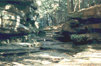 Hocking Hills, Ohio-- site of the 2001 NANFA Convention. Jay DeLong photo