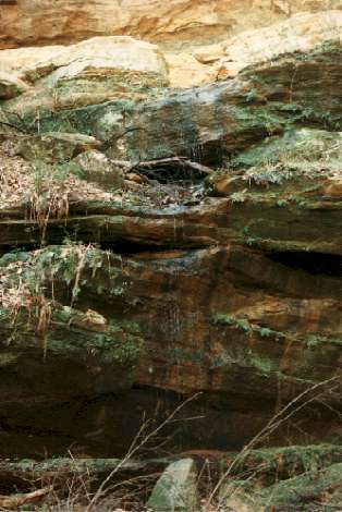 Hocking Hills, Ohio-- site of the 2001 NANFA Convention. Jay DeLong photo